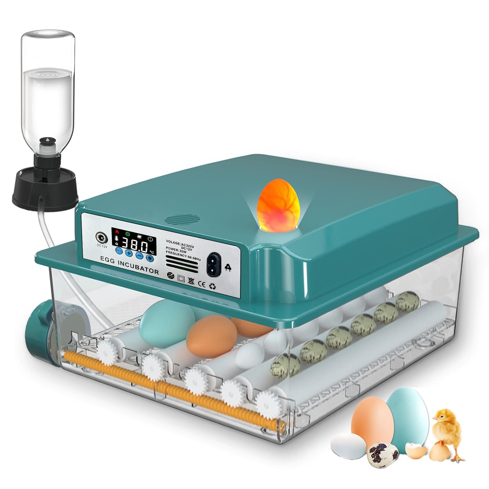 CoInceptus Couveuse Oeuf Automatique, Incubateur Oeuf Automatique 12-16 Oeufs avec Retournement Automatique des œufs et Ajout Automatique d'eau, Couveuses pour œufs de Volailles
