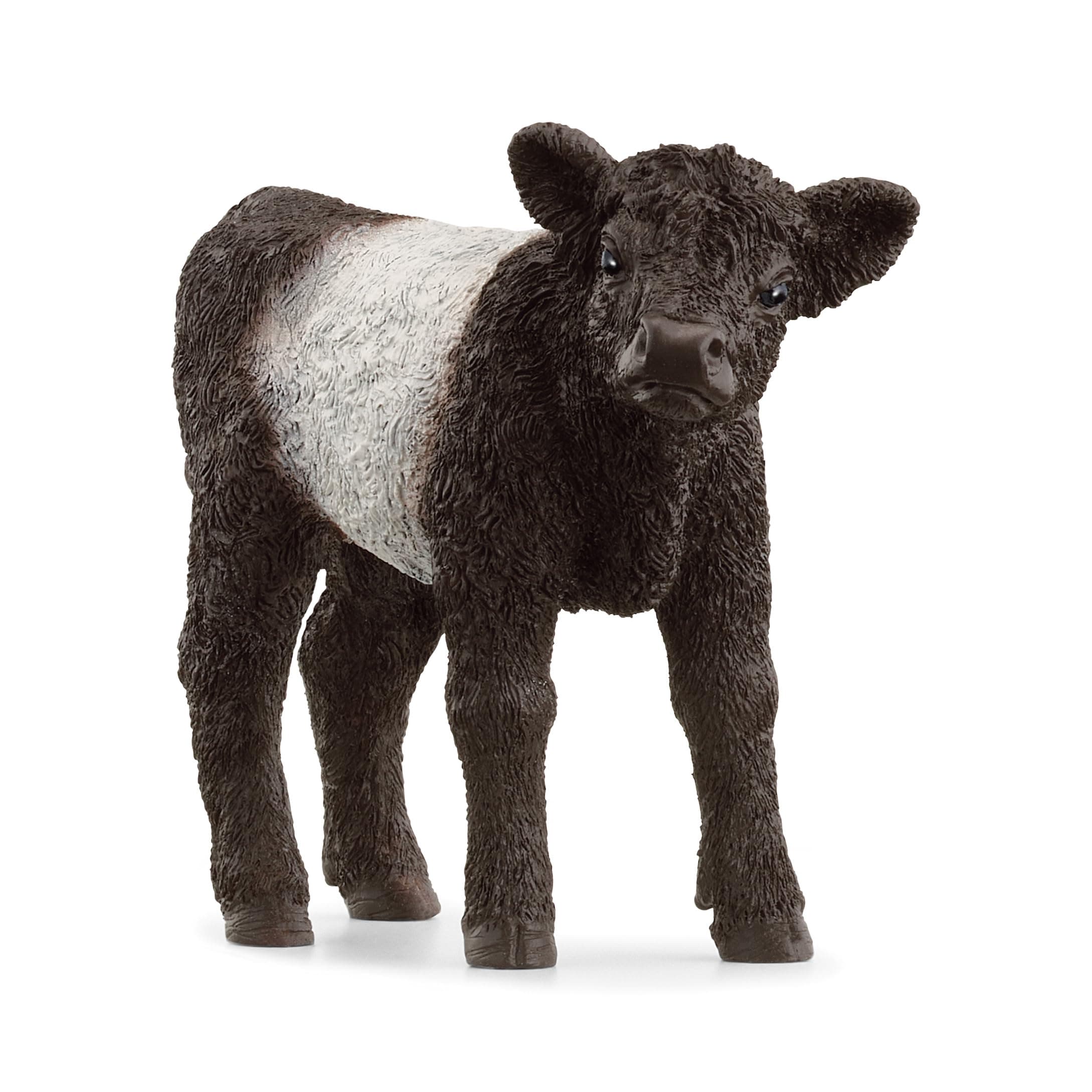 SCHLEICH 13969 Galloway Kalb, ab 3 Jahren, Farm World - Spielfigur, 3 x 8 x 6 cm