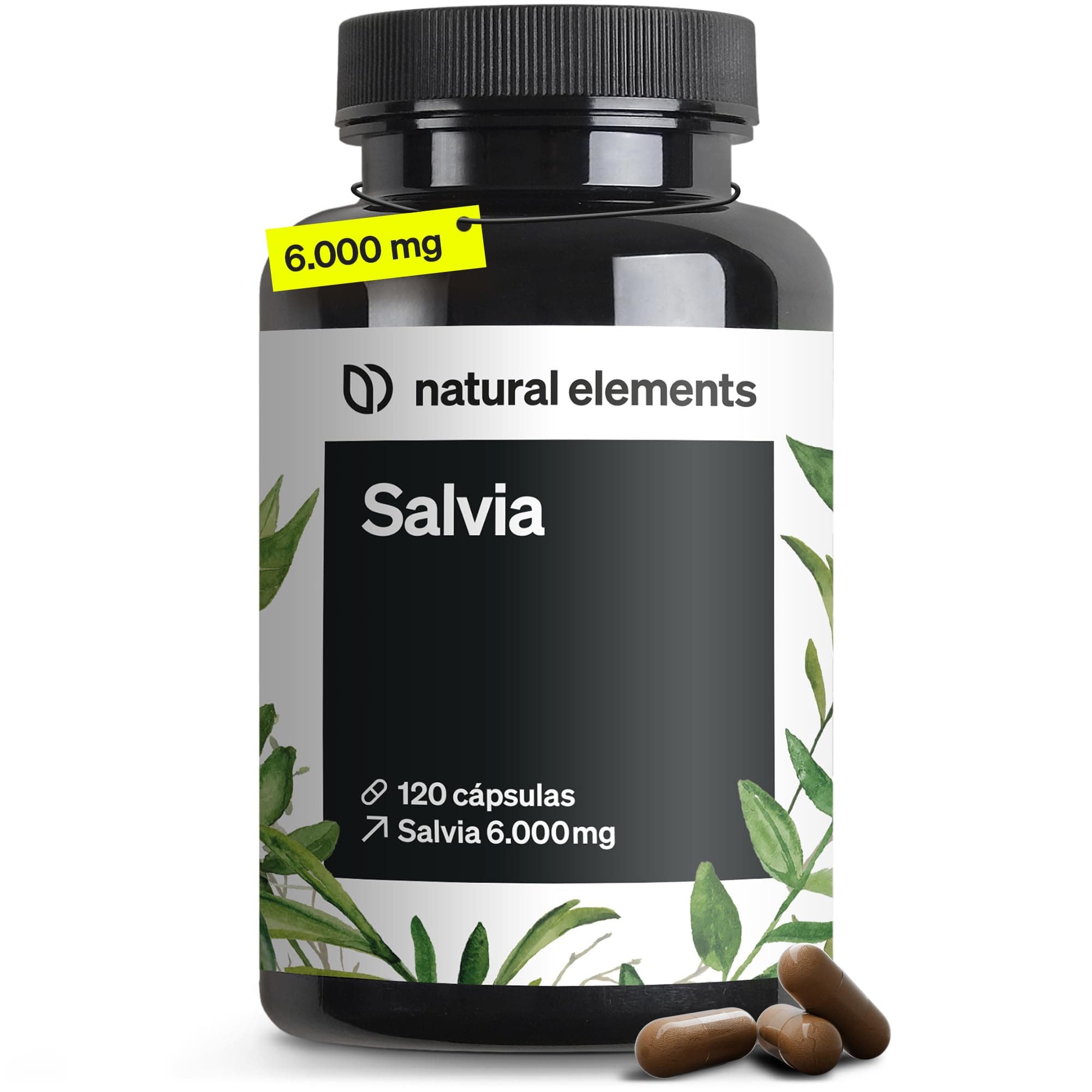 Salvia 6.000 mg - 120 Cápsulas veganas para 4 meses - Extracto 10:1 de alta dosificación - Fórmula de apoyo natural para tu bienestar - Sin aditivos - Probado en laboratorio en Alemania