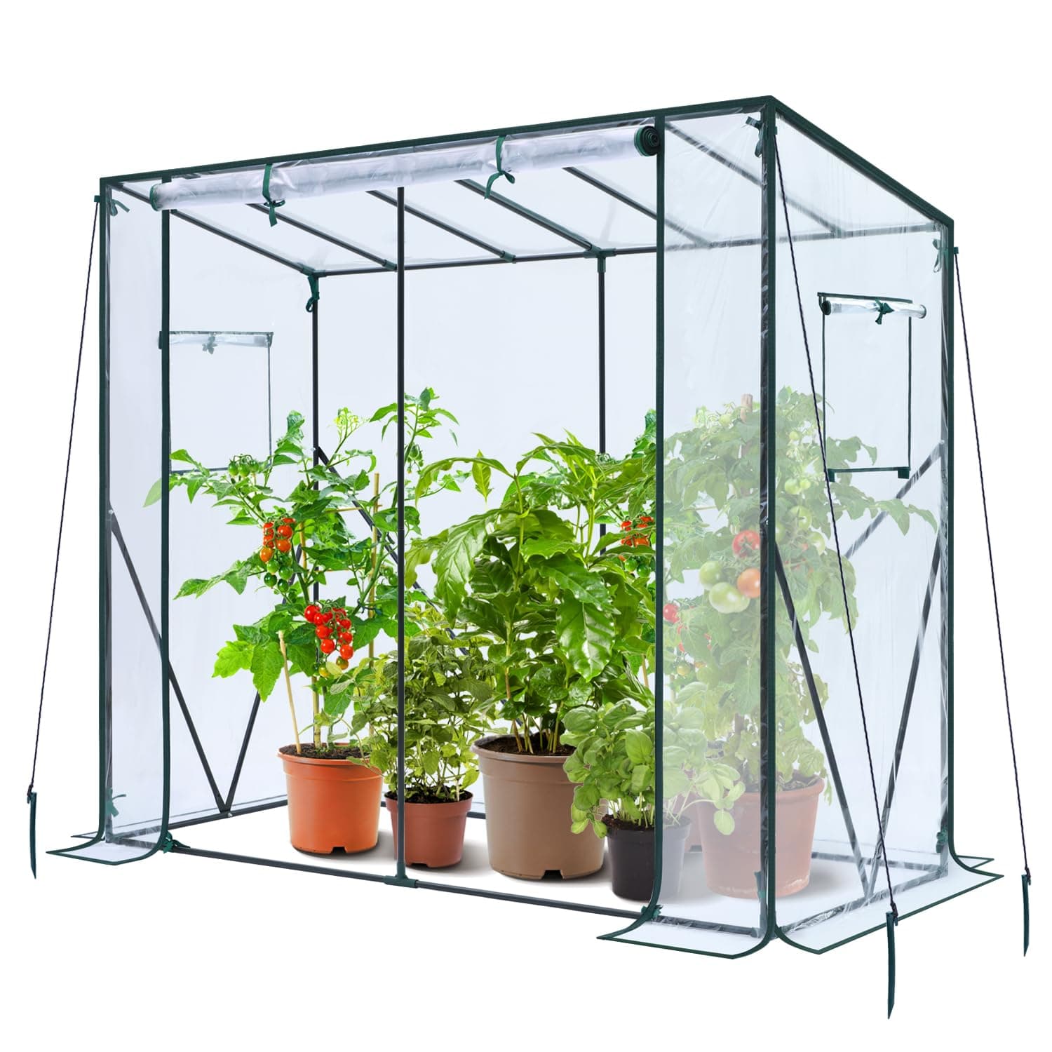 Ohuhu Tomaten Gewächshaus Foliengewächshaus mit PVC-Abdeckung und Fernster, Begehbarer Gewächshaus 200x77x170 cm Gewächshaus Klein Winterfest Tomatenhaus für Optimales Pflanzenwachstum