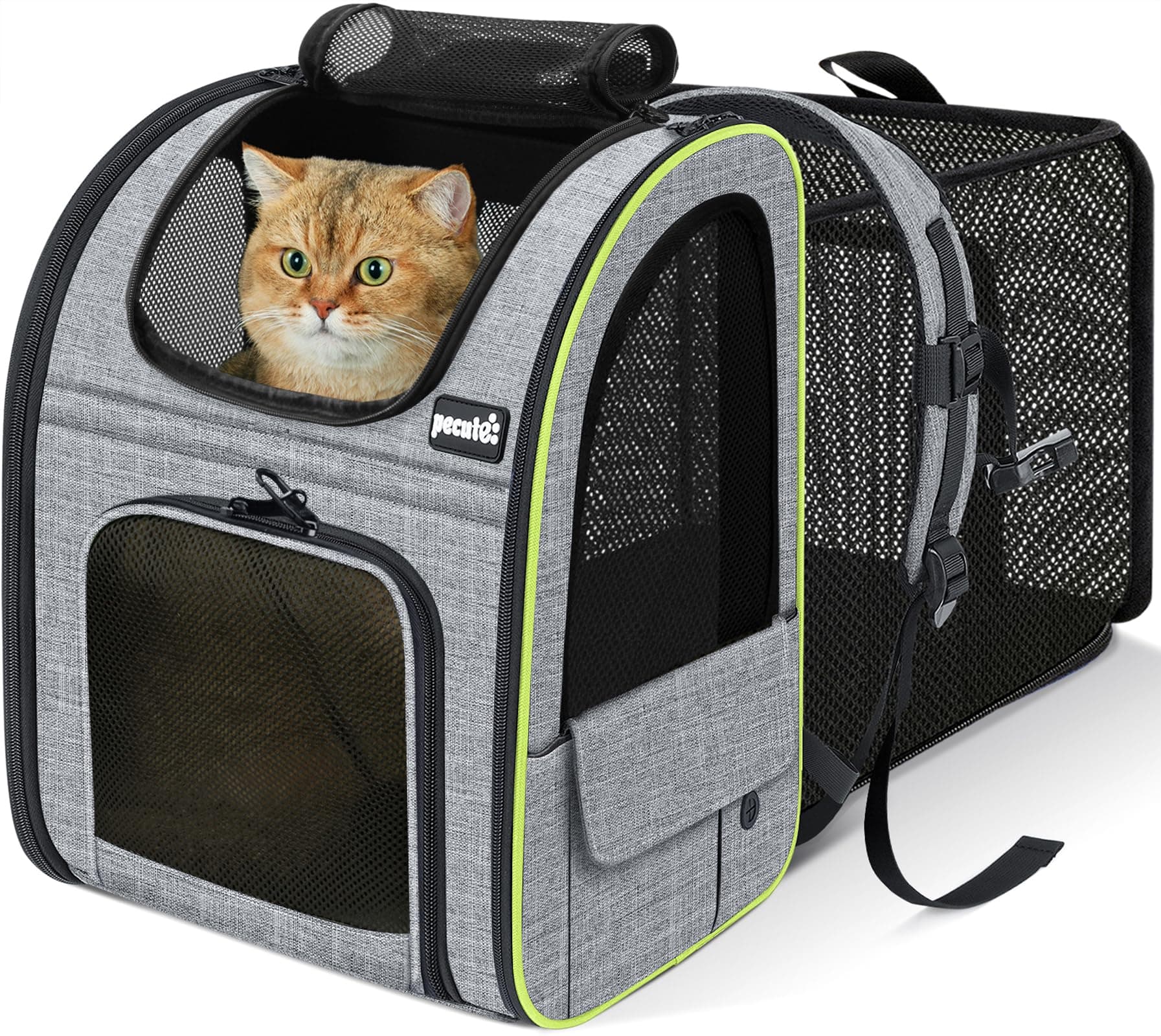Pecute Mochila Gato<6kg Mochilas para Gatos y Perro Transportin Gato Expandible y Plegable para Viajar en Tren/automóvil/Restaurante, Gris (Ventana de Malla)