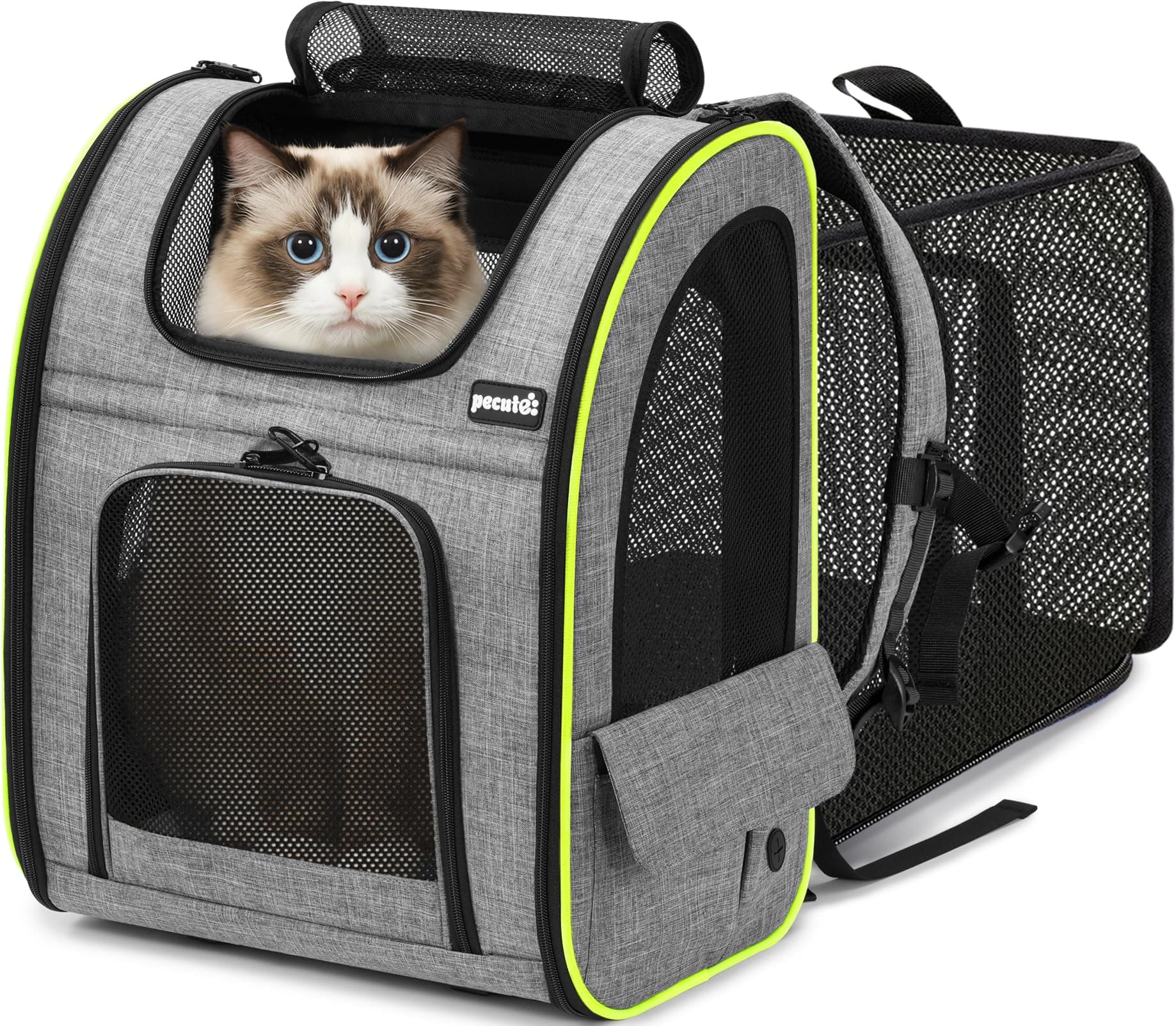 Pecute Transportin Gato XL > 6kg - < 8kg Mochilas para Gatos y Perro Bolsa para Mascotas Expandible y Plegable para Viajar en Tren/automóvil/Restaurante